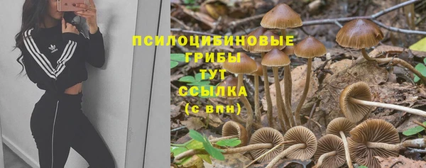 Альфа ПВП Богородск