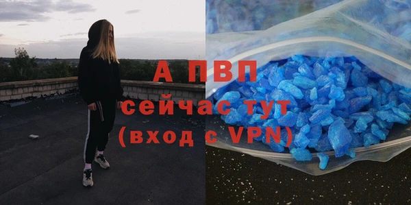 индика Белоозёрский